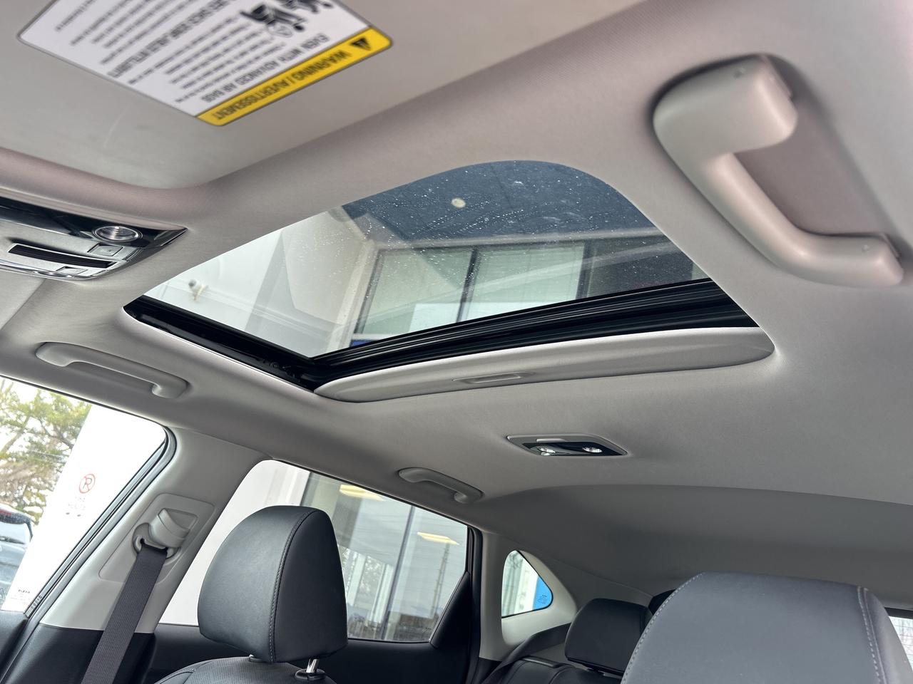 2024 Kia Seltos EX Photo