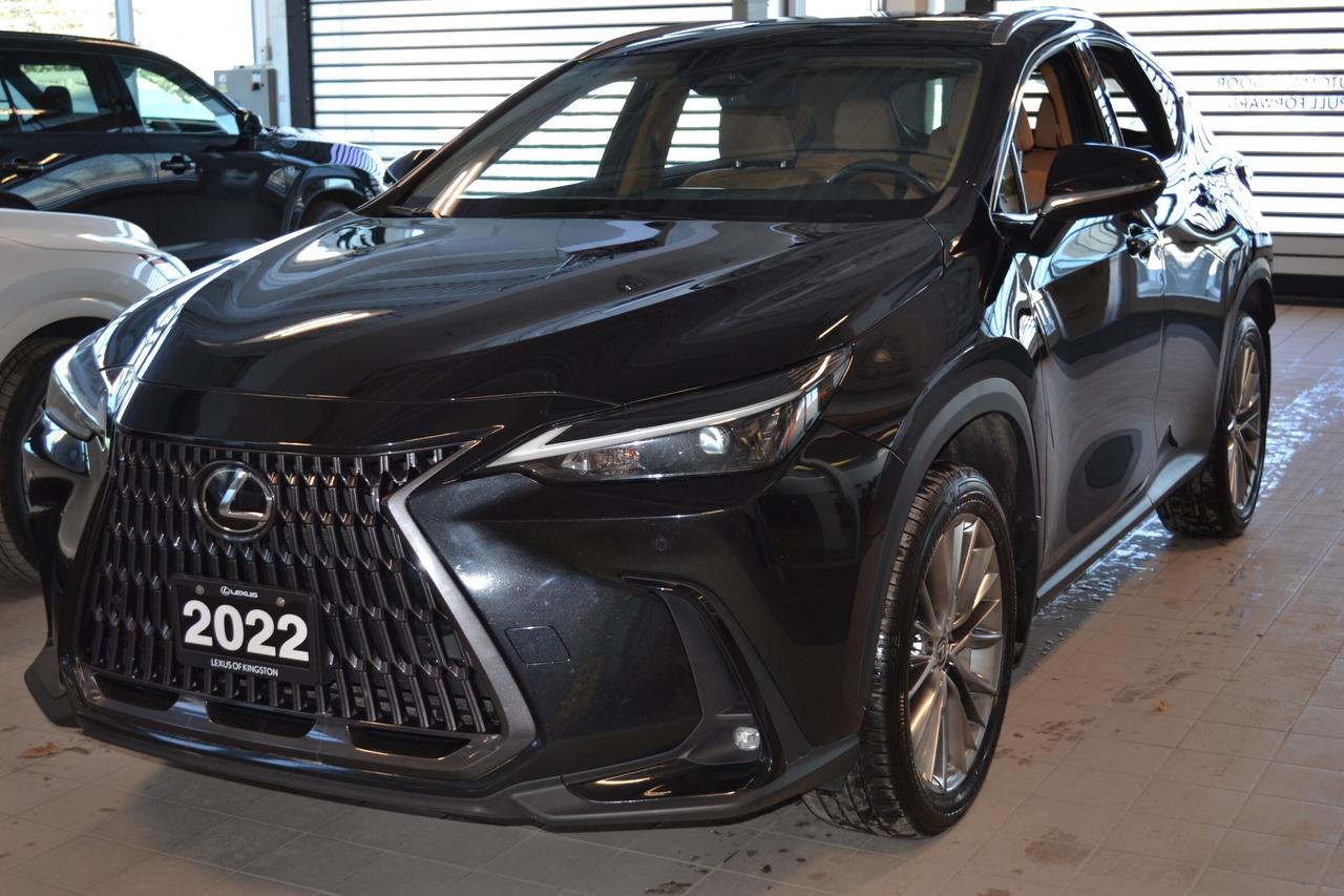 2022 Lexus NX 350  Photo0