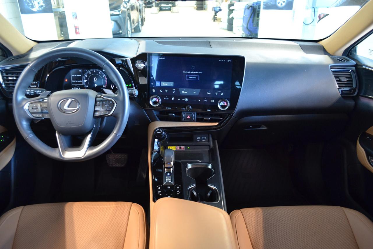 2022 Lexus NX 350  Photo