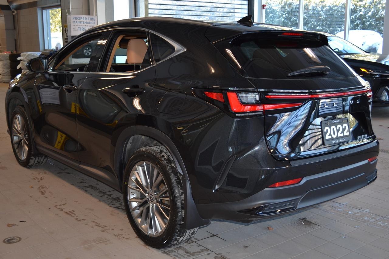 2022 Lexus NX 350  Photo