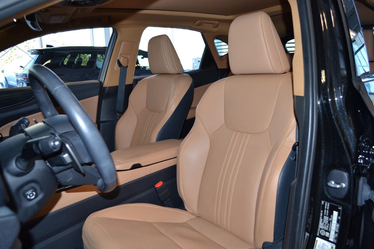 2022 Lexus NX 350  Photo