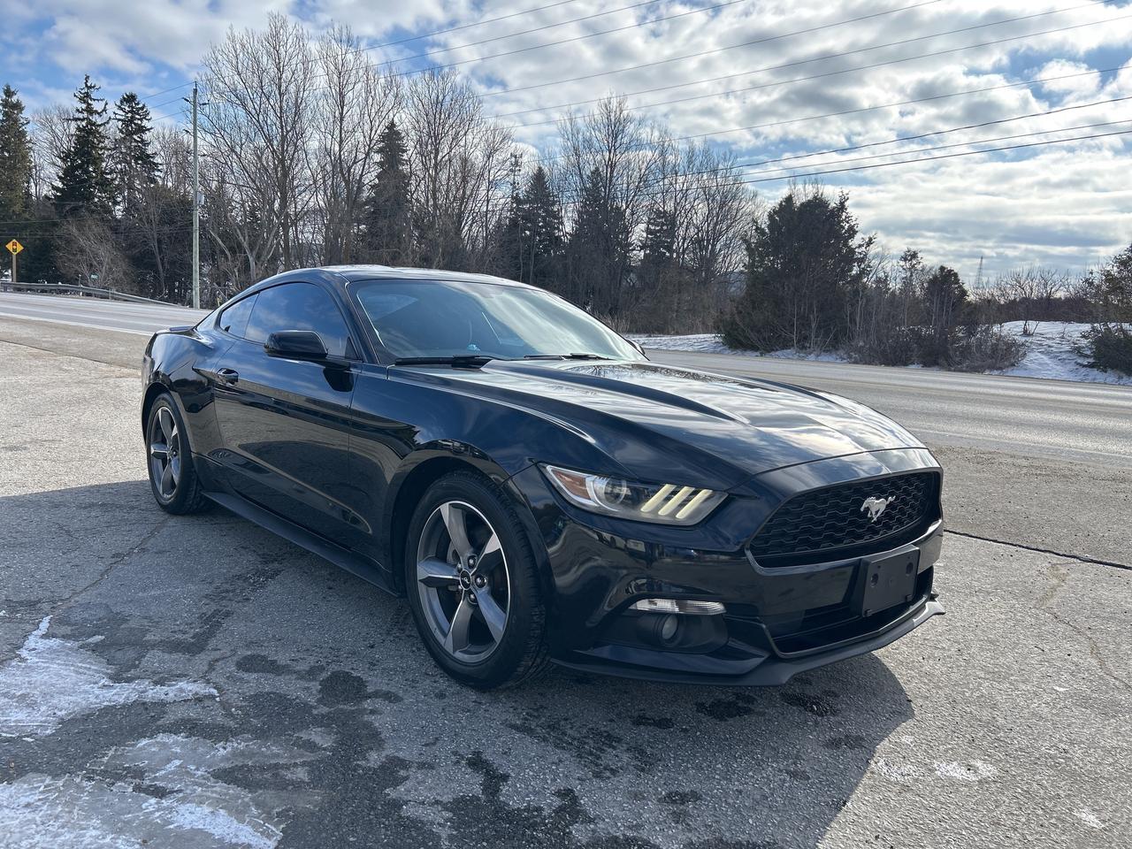 2017 Ford Mustang V6, Bluetooth, Back Up Cam, Manual Photo
