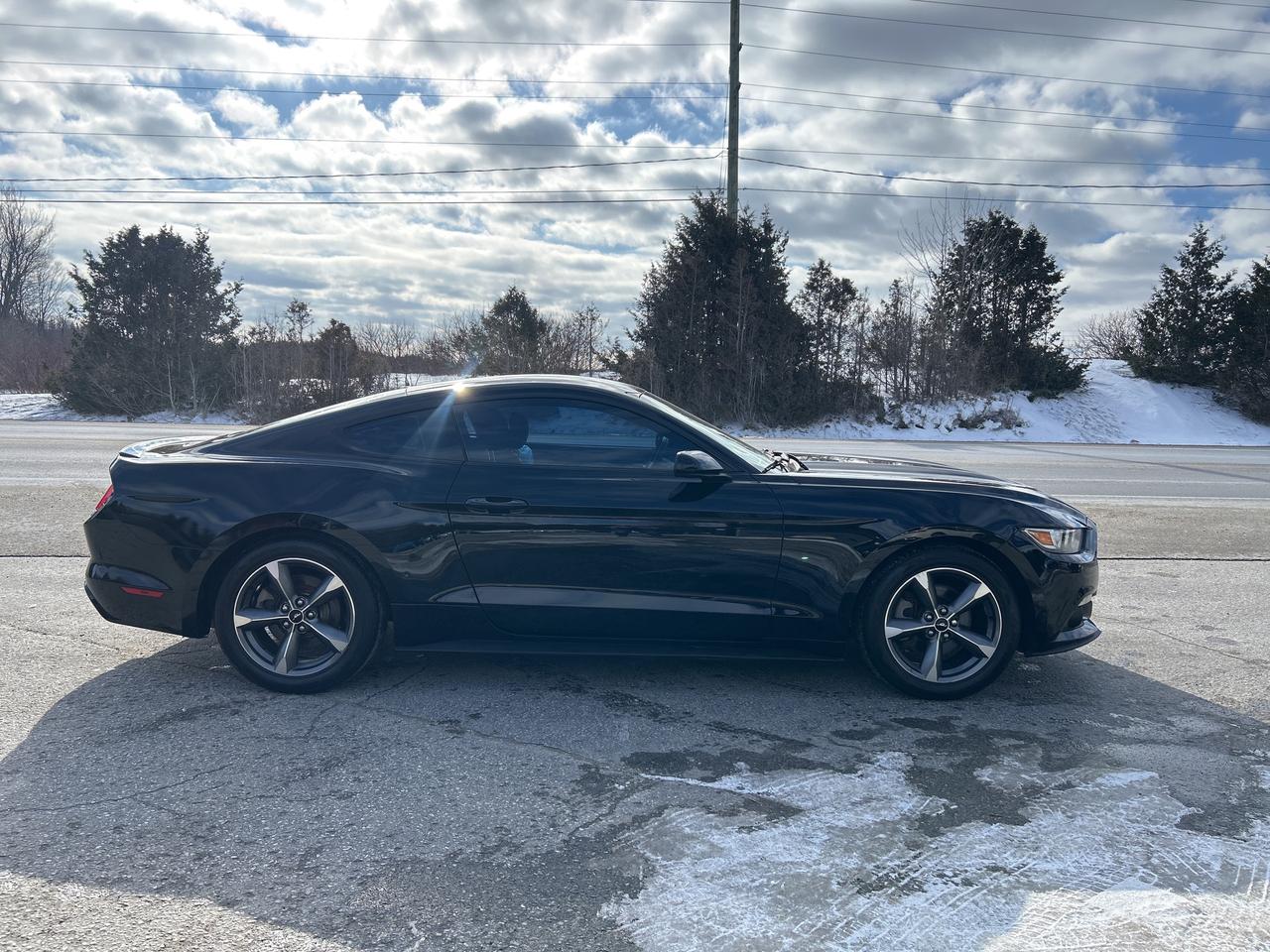 2017 Ford Mustang V6, Bluetooth, Back Up Cam, Manual Photo