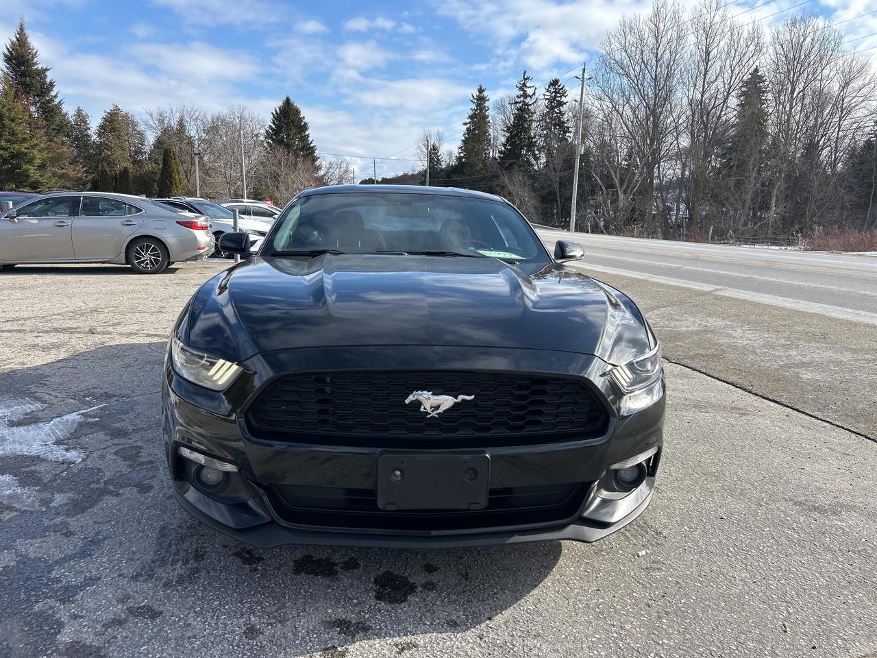 2017 Ford Mustang V6, Bluetooth, Back Up Cam, Manual Photo