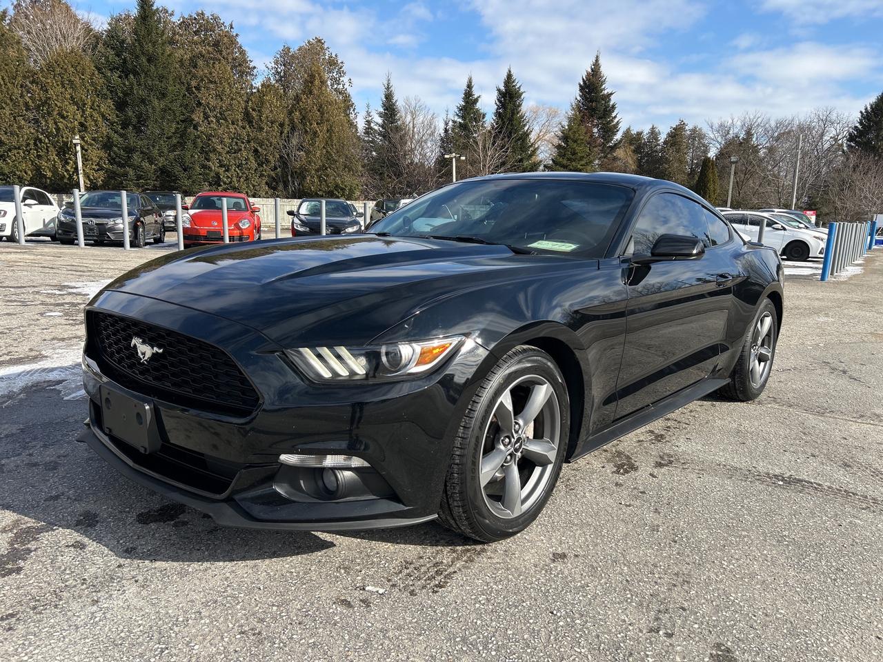 2017 Ford Mustang V6, Bluetooth, Back Up Cam, Manual Photo