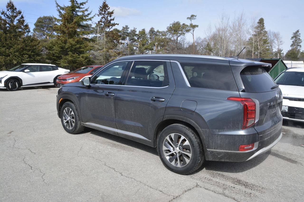 2020 Hyundai PALISADE  Photo2