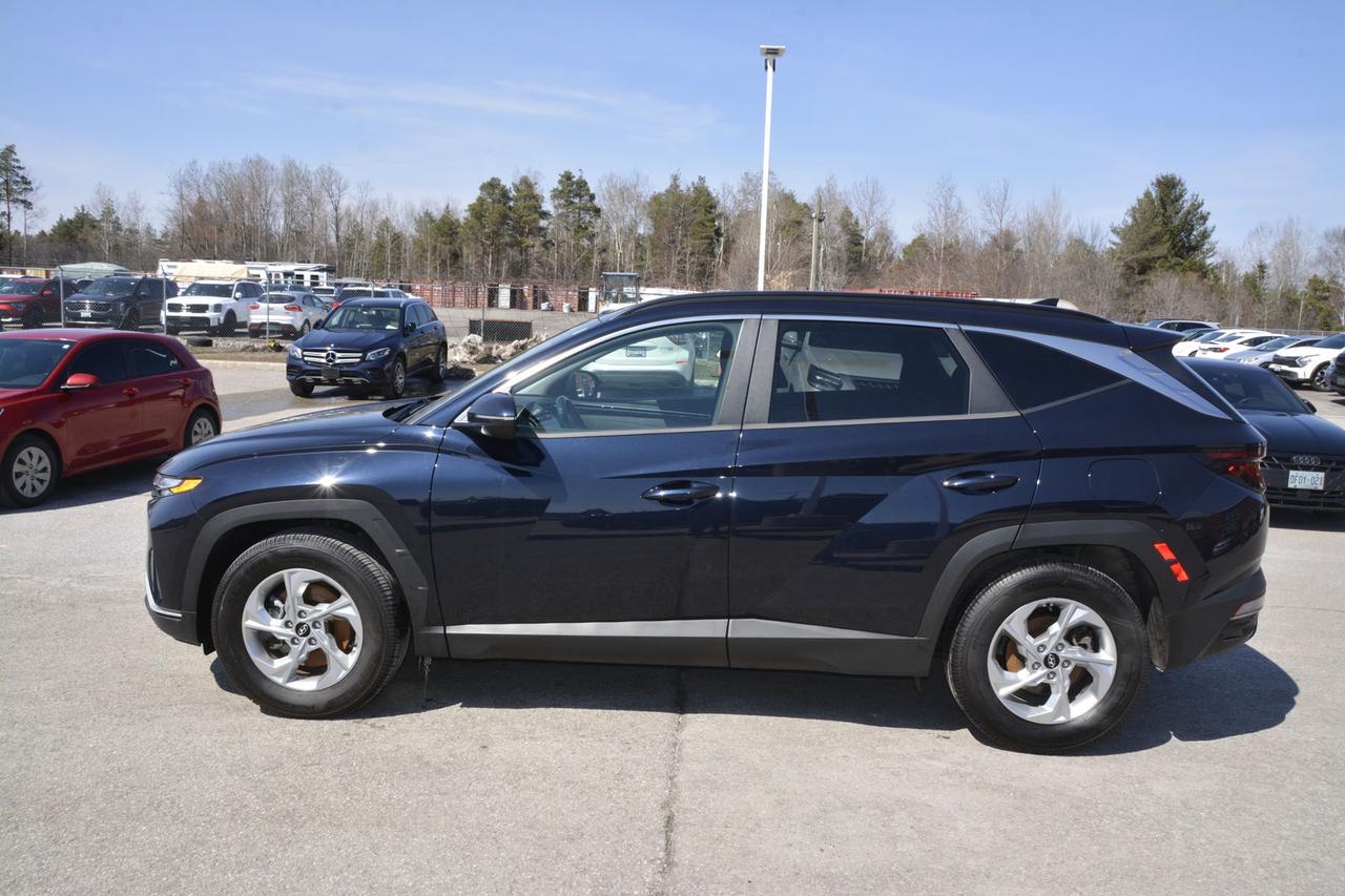 2022 Hyundai Tucson Preferred Photo