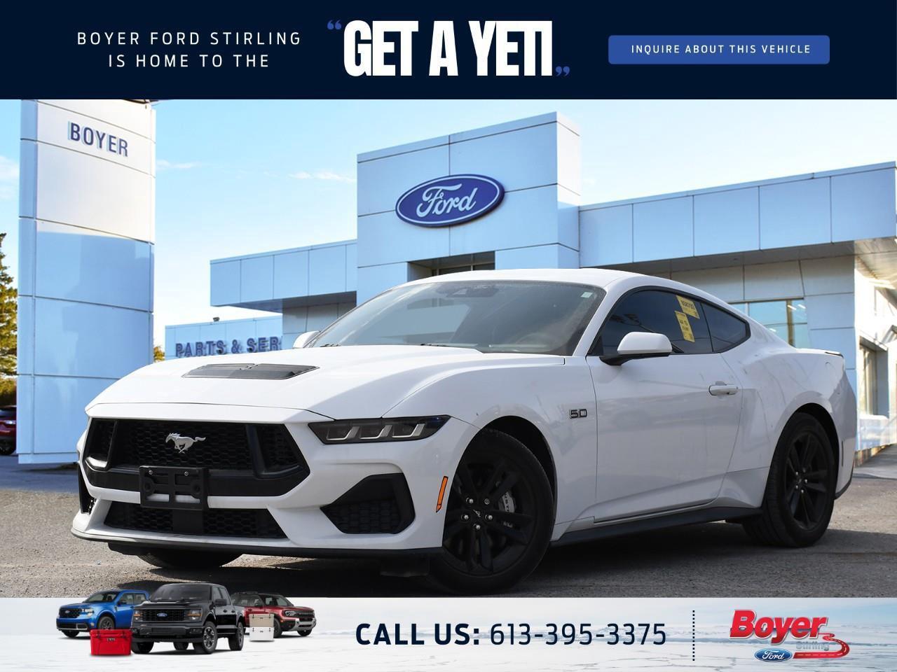 2024 Ford Mustang GT Premium Photo0