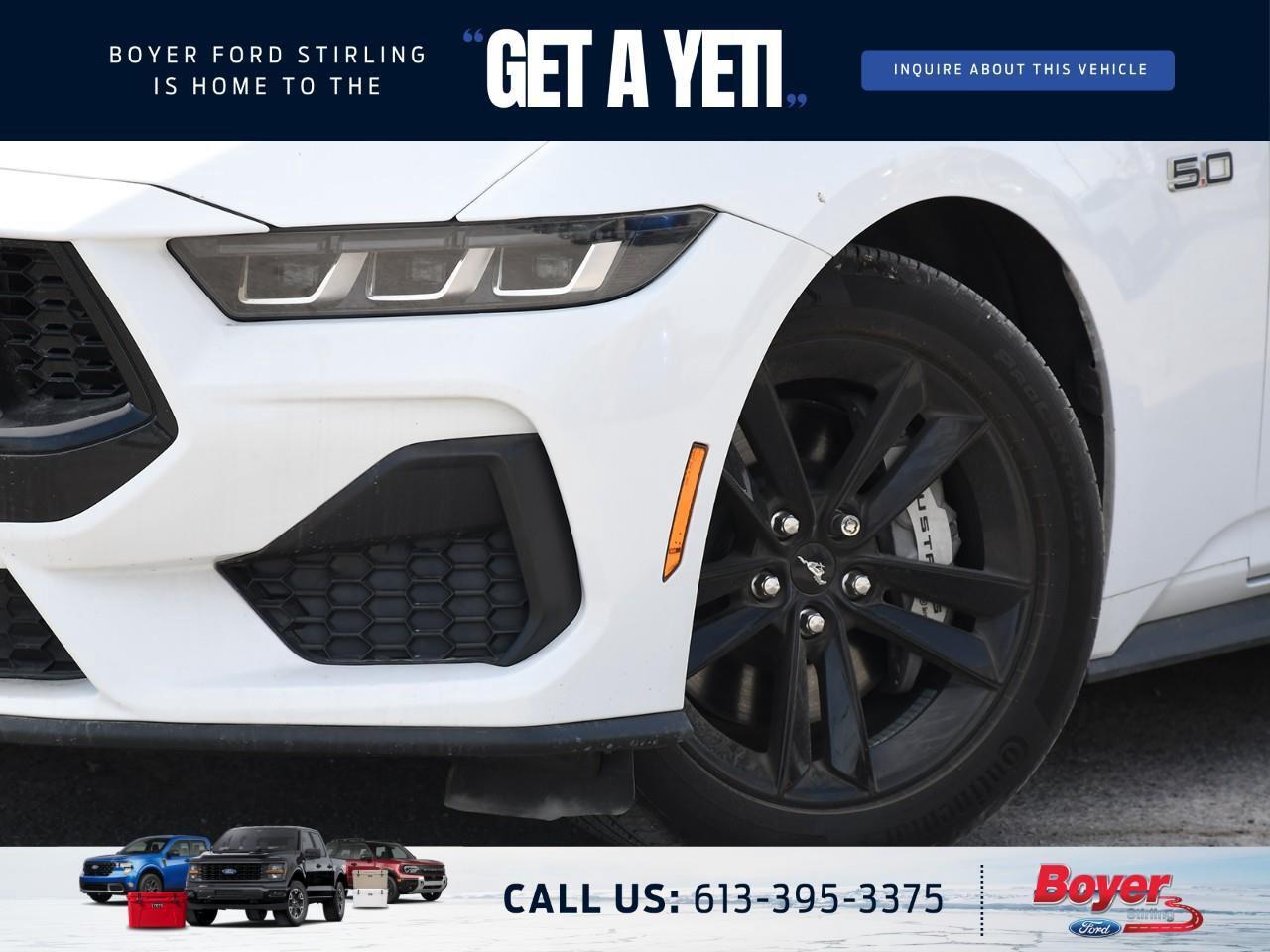 2024 Ford Mustang GT Premium Photo