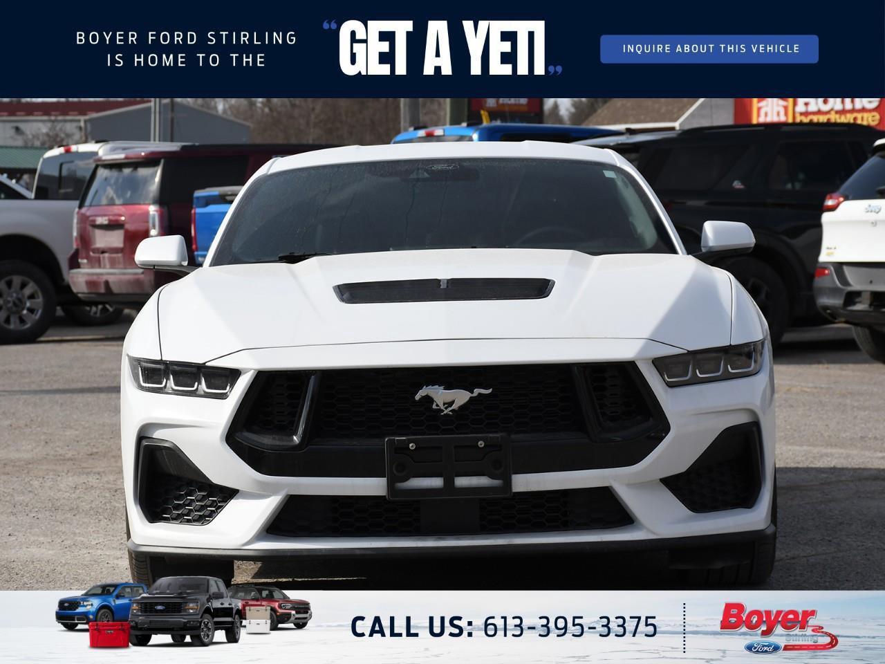 2024 Ford Mustang GT Premium Photo