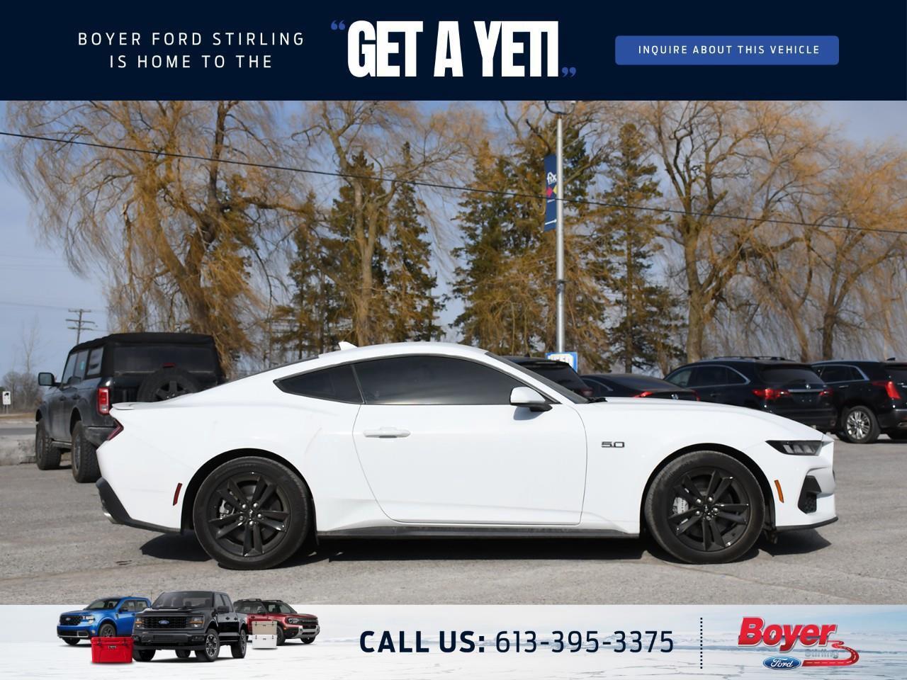 2024 Ford Mustang GT Premium Photo