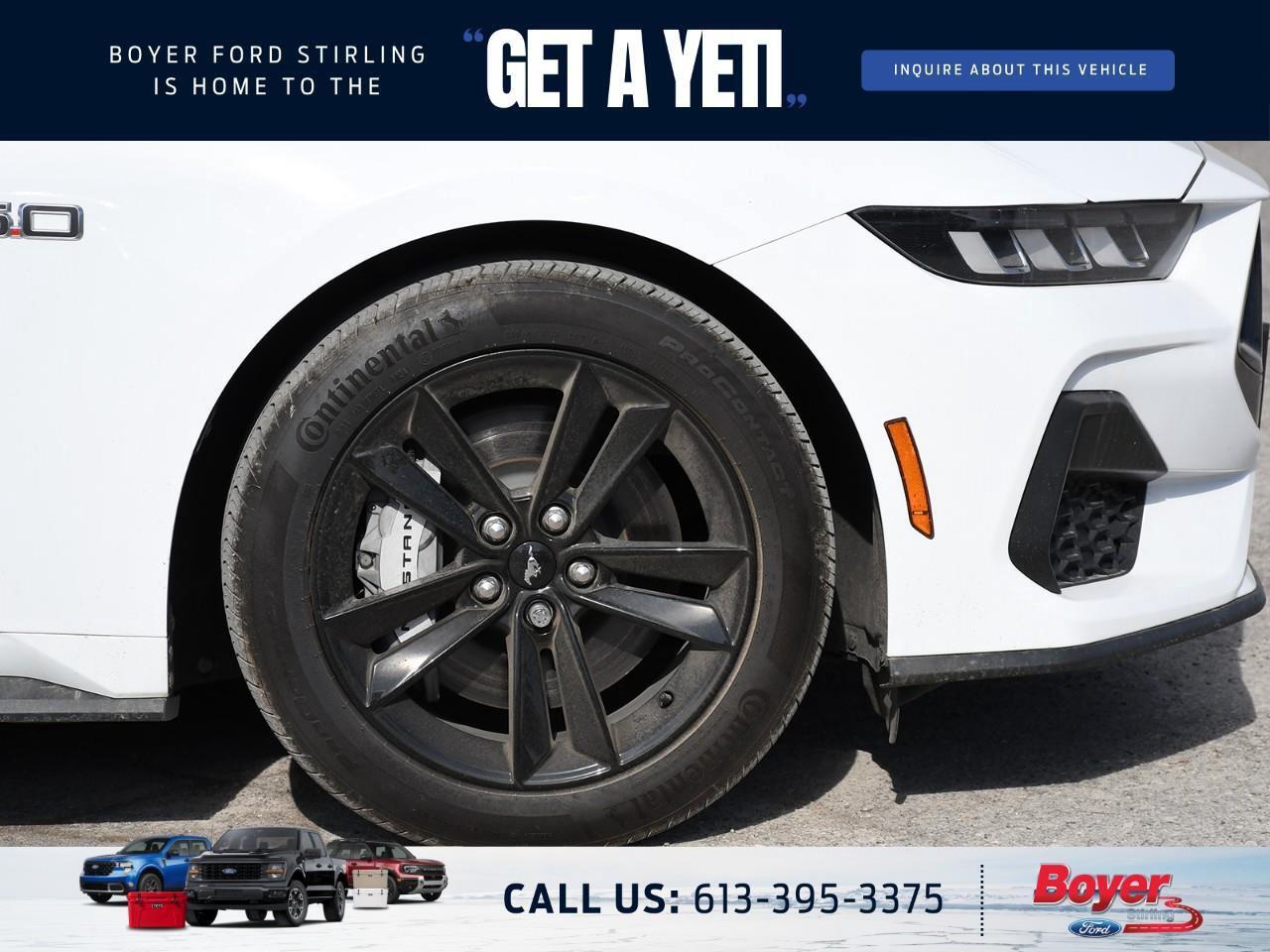 2024 Ford Mustang GT Premium Photo