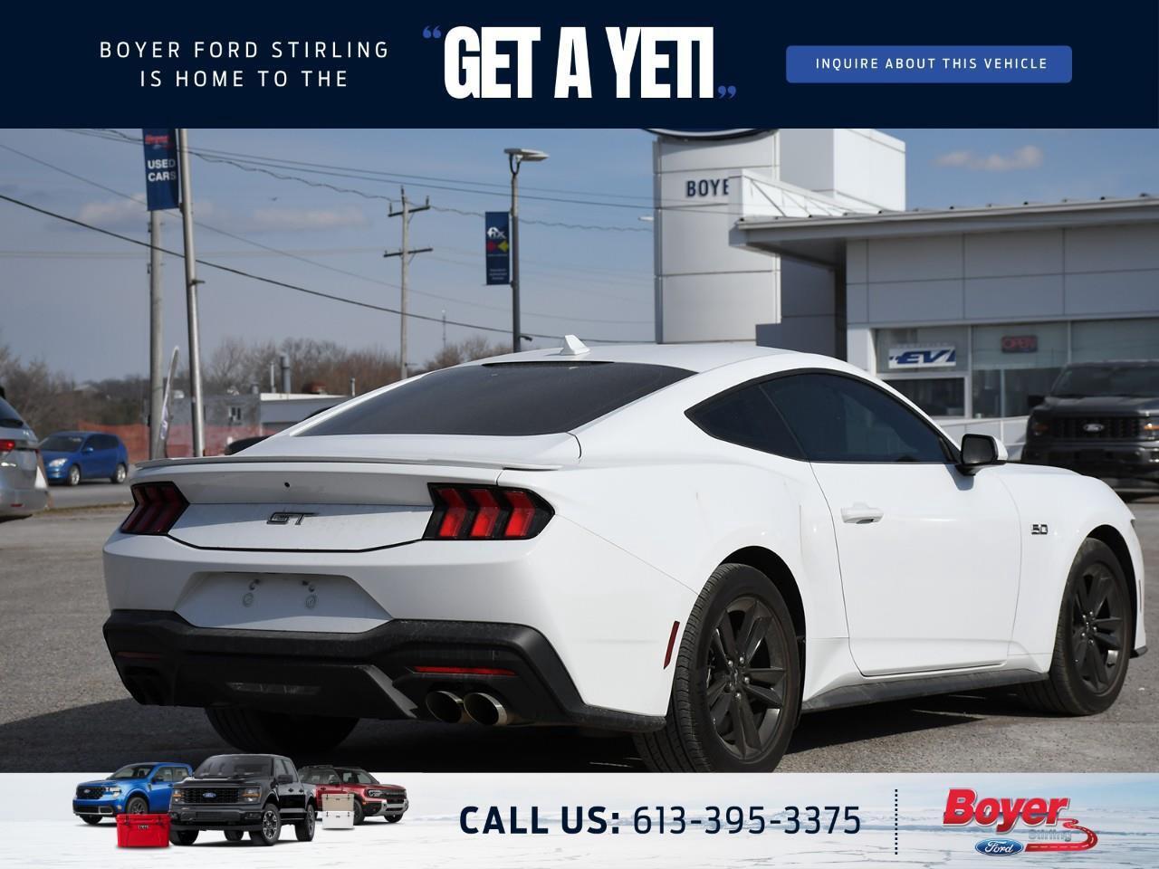 2024 Ford Mustang GT Premium Photo