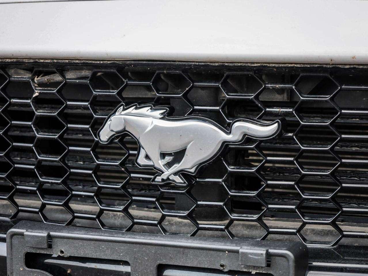 2024 Ford Mustang GT Premium Photo