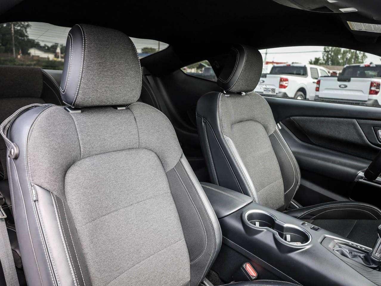 2024 Ford Mustang GT Premium Photo