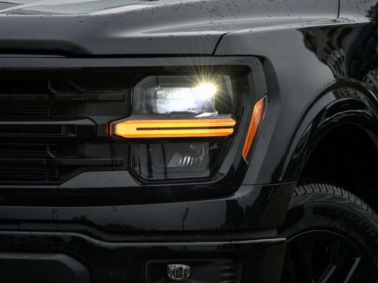 2026 Ford F-150 XLT Photo