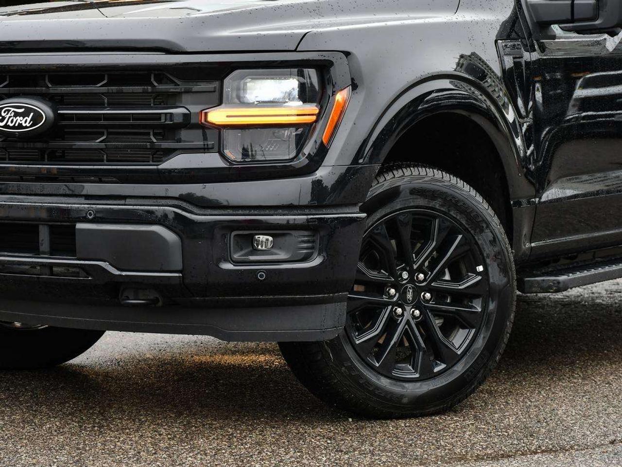 2026 Ford F-150 XLT Photo5