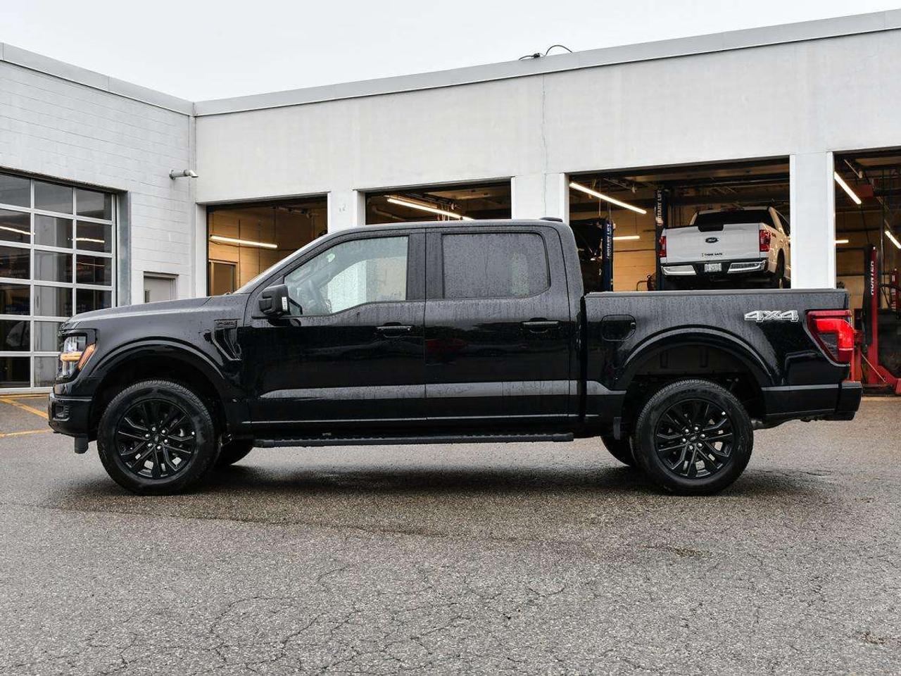 2026 Ford F-150 XLT Photo