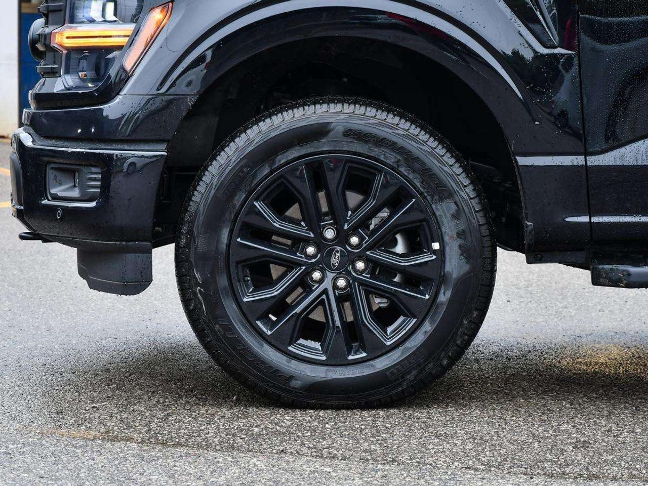 2026 Ford F-150 XLT Photo