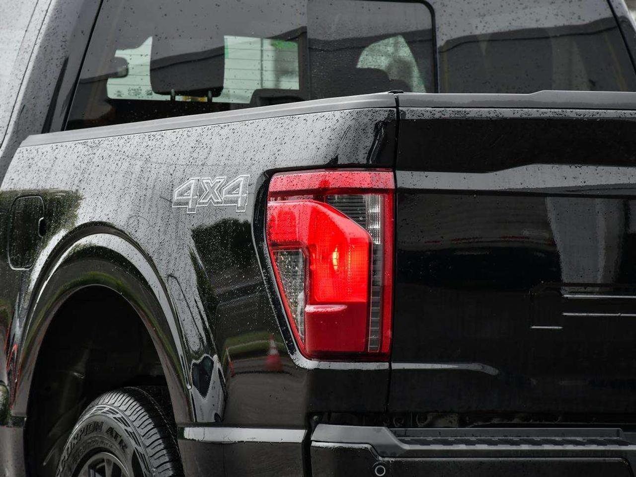 2026 Ford F-150 XLT Photo