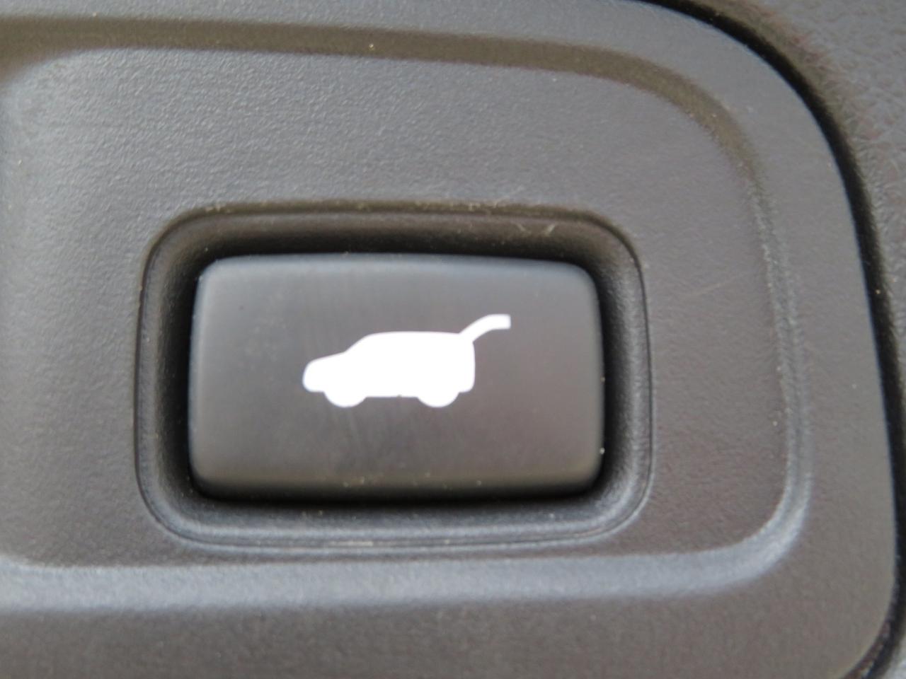 2020 Honda Pilot EX-L Navi AWD Photo