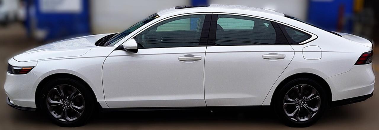 2023 Honda Accord Sedan EX CVT Photo