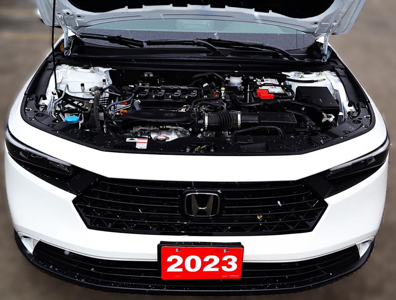 2023 Honda Accord Sedan EX CVT Photo