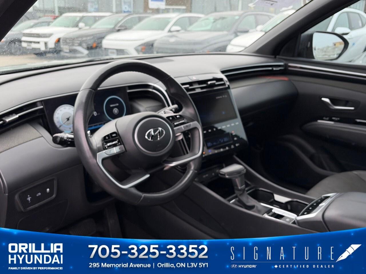 2024 Hyundai Santa Cruz Ultimate AWD w/Colour Pkg *Ltd Avail* Photo