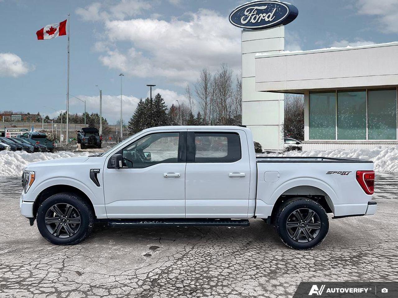 2023 Ford F-150 XLT   TAILGATE STEP   360 DEGREE CAMERA Photo