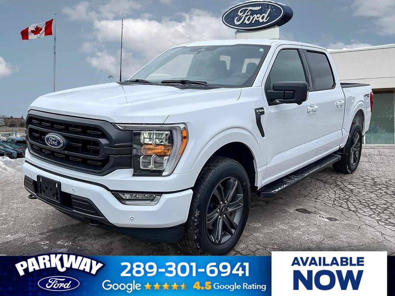 2023 Ford F-150 XLT   TAILGATE STEP   360 DEGREE CAMERA Photo0