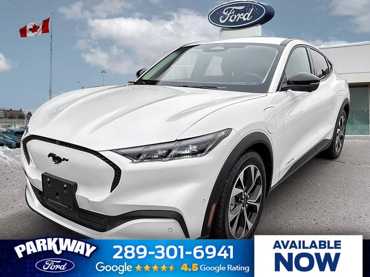 2024 Ford Mustang Mach-E Select   HTD STEER WHEEL   HTD FRNT SEATS Photo0