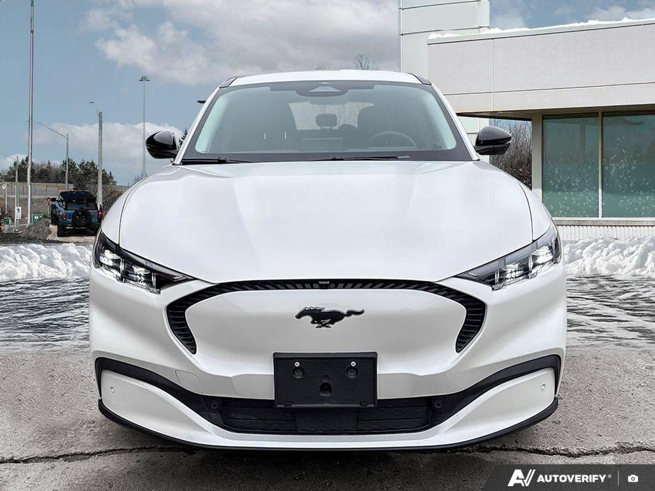 2024 Ford Mustang Mach-E Select   HTD STEER WHEEL   HTD FRNT SEATS Photo2