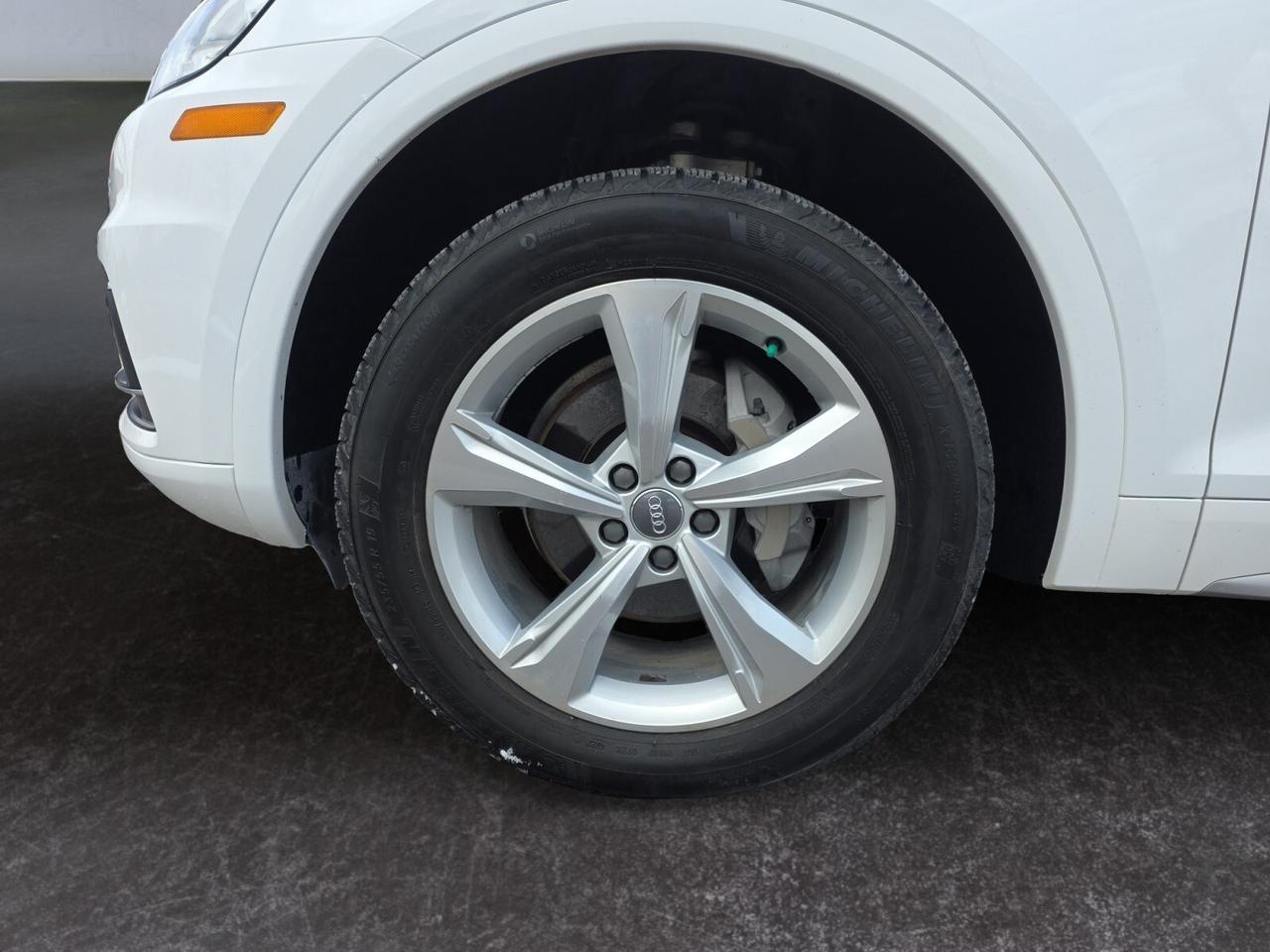 2019 Audi Q5 Progressiv * NO ACCIDENT / NAVI / CAM / PANO / CAR Photo