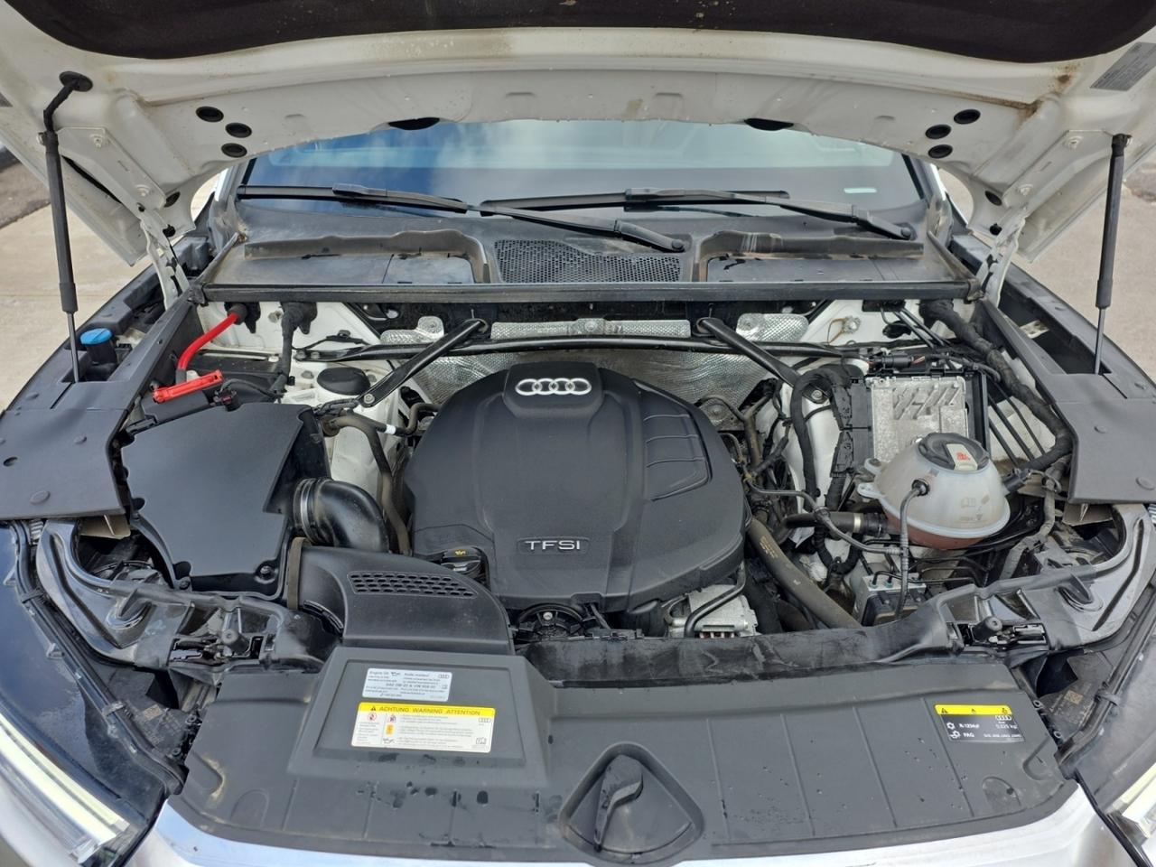 2019 Audi Q5 Progressiv * NO ACCIDENT / NAVI / CAM / PANO / CAR Photo