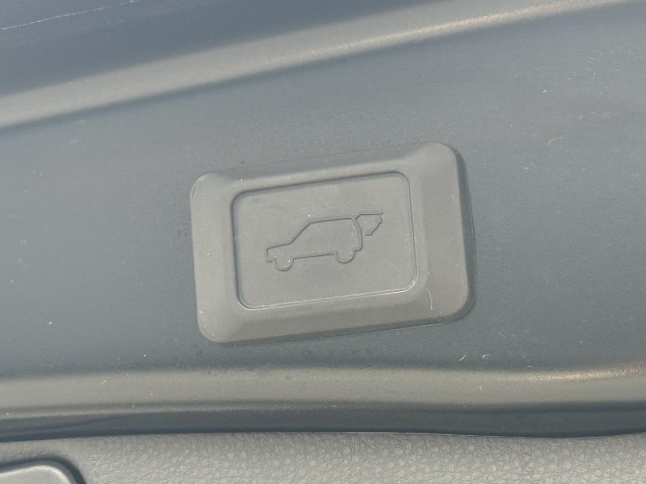 2024 Toyota RAV4 XLE l AWD l Toyota Warranty l 2.5 l 4Cyl l Sunroof Photo