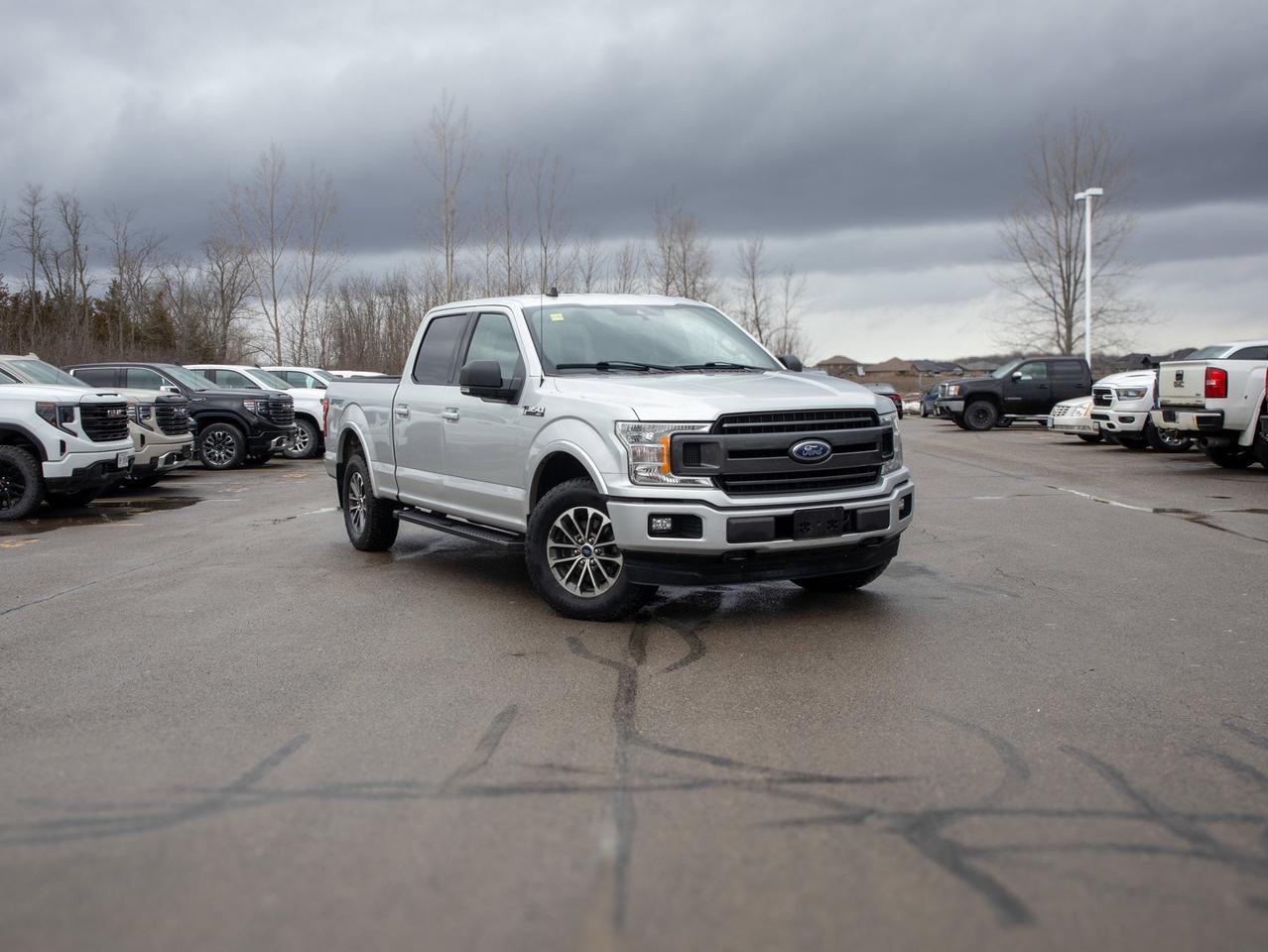 2019 Ford F-150 - 3.5L V6 Engine   Rugged Suspension Photo