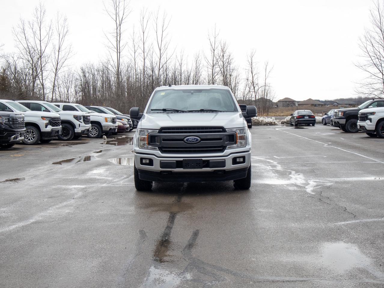 2019 Ford F-150 - 3.5L V6 Engine   Rugged Suspension Photo