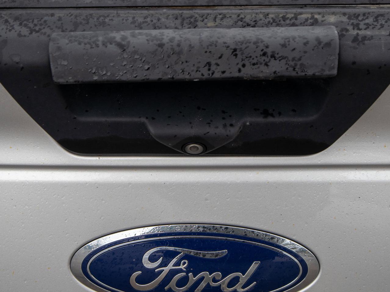 2019 Ford F-150 - 3.5L V6 Engine   Rugged Suspension Photo