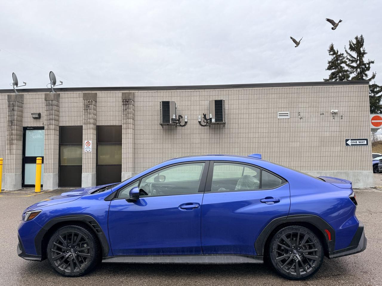 2024 Subaru WRX Sport (M6) 4dr All-Wheel Drive Sedan Photo