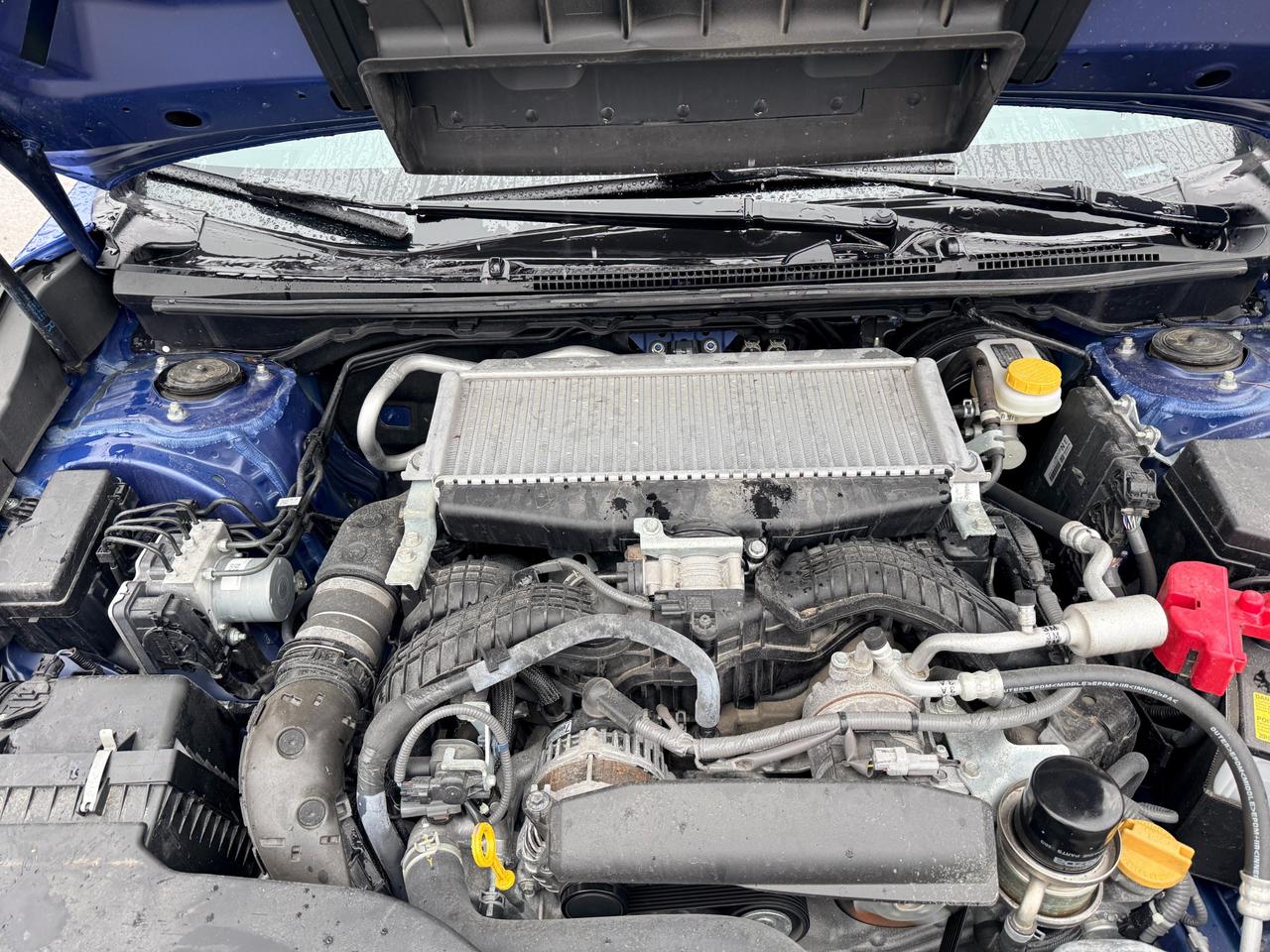 2024 Subaru WRX Sport (M6) 4dr All-Wheel Drive Sedan Photo