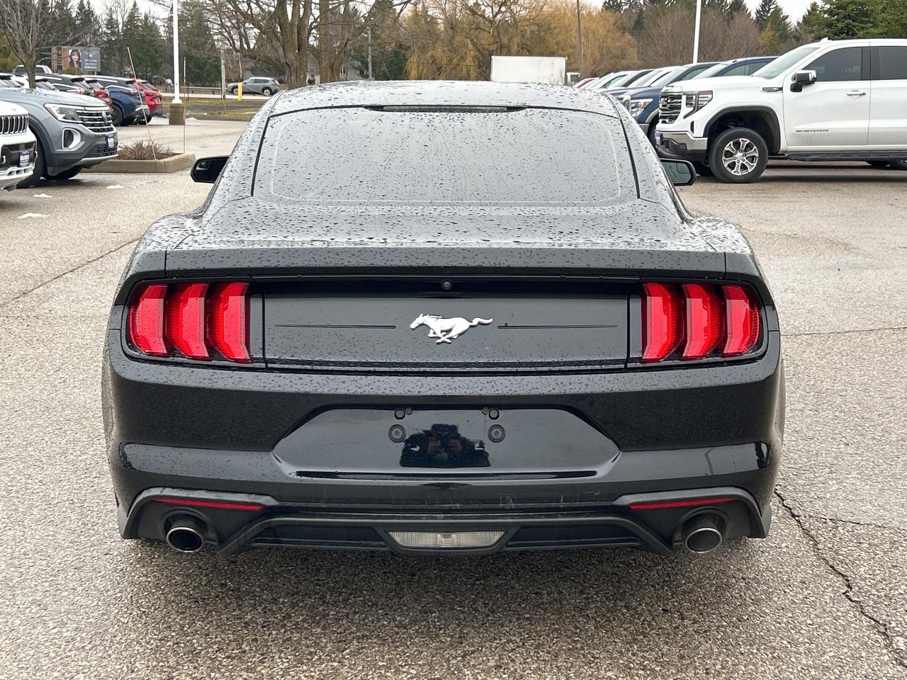 2018 Ford Mustang EcoBoost Fastback   Bluetooth   Backup Camera Photo