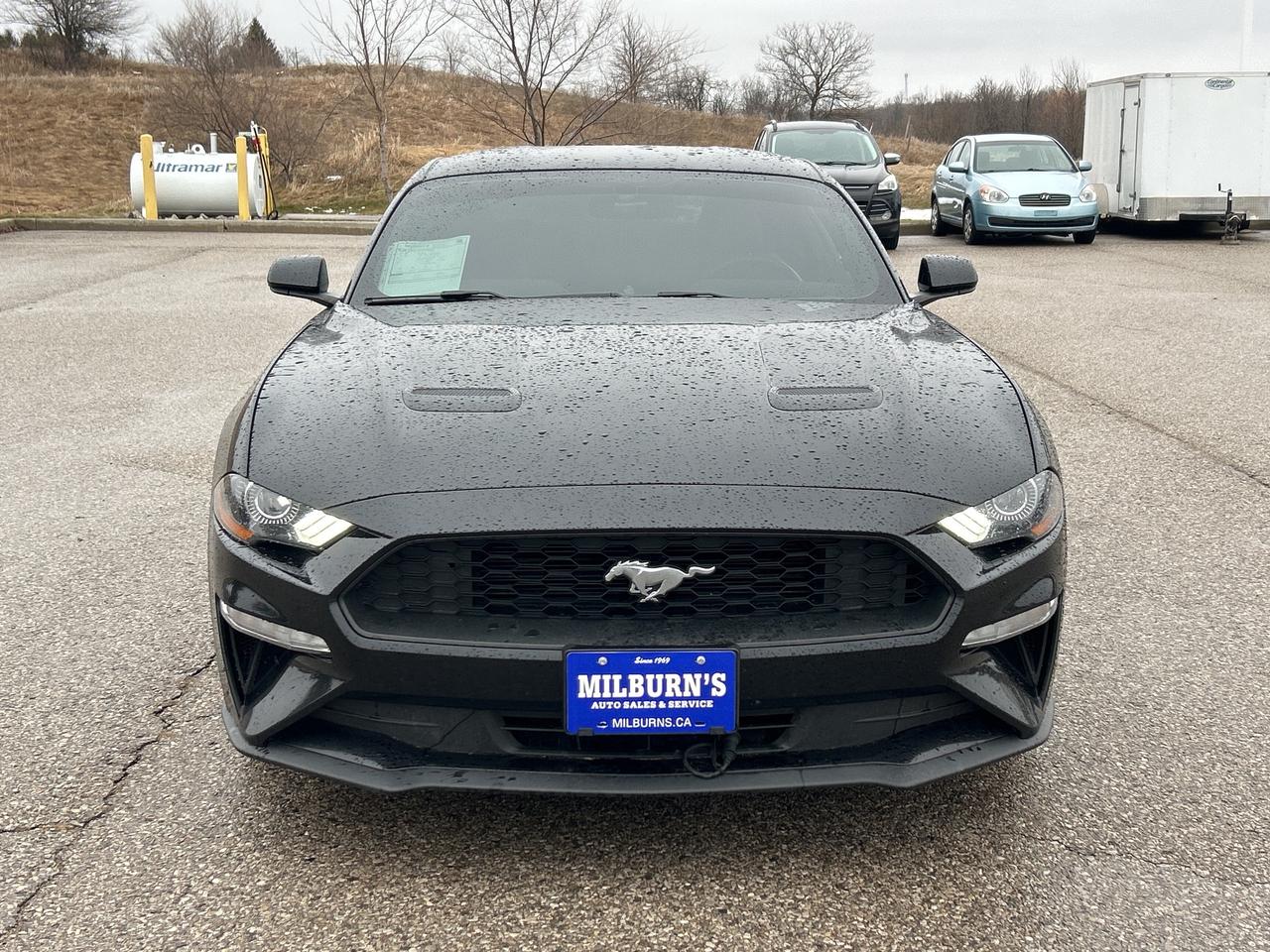 2018 Ford Mustang EcoBoost Fastback   Bluetooth   Backup Camera Photo