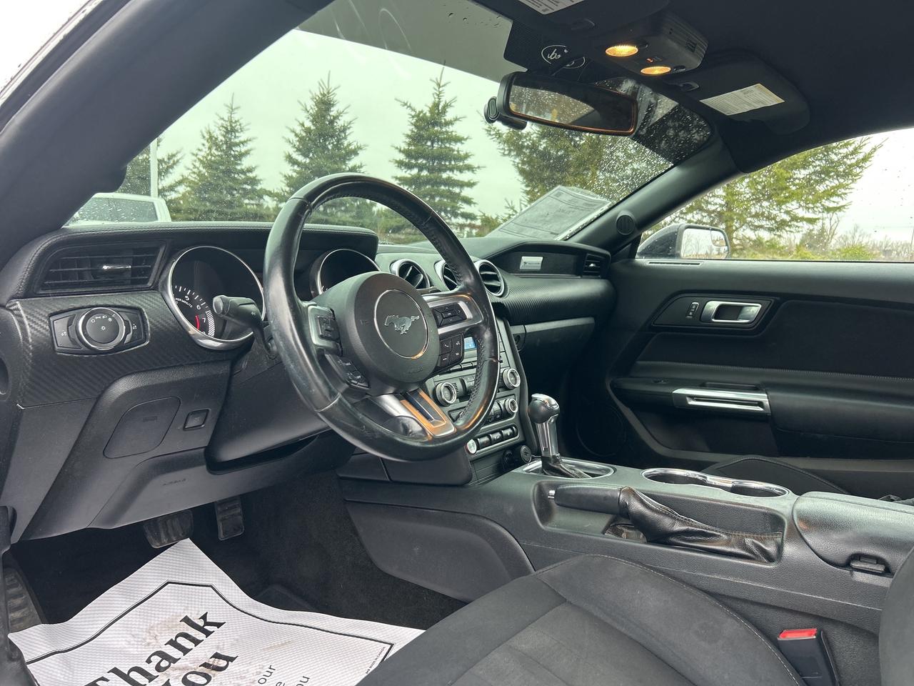 2018 Ford Mustang EcoBoost Fastback   Bluetooth   Backup Camera Photo