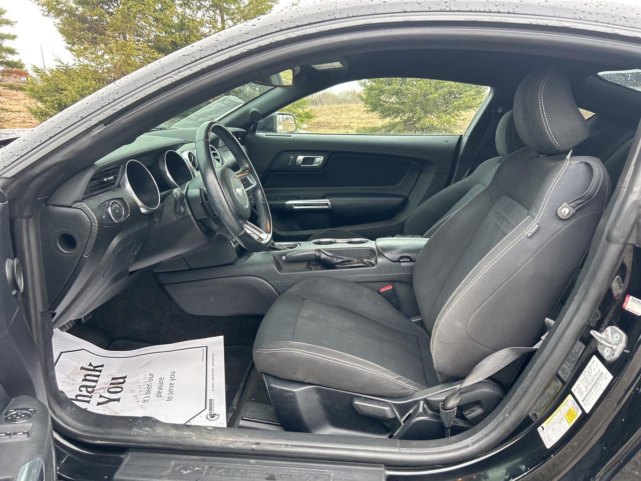 2018 Ford Mustang EcoBoost Fastback   Bluetooth   Backup Camera Photo
