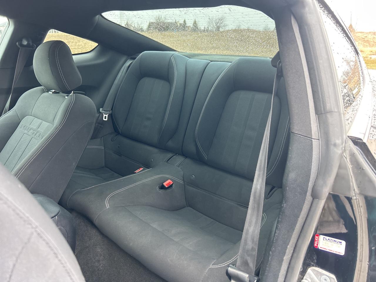 2018 Ford Mustang EcoBoost Fastback   Bluetooth   Backup Camera Photo