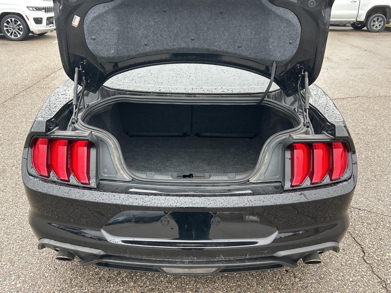 2018 Ford Mustang EcoBoost Fastback   Bluetooth   Backup Camera Photo