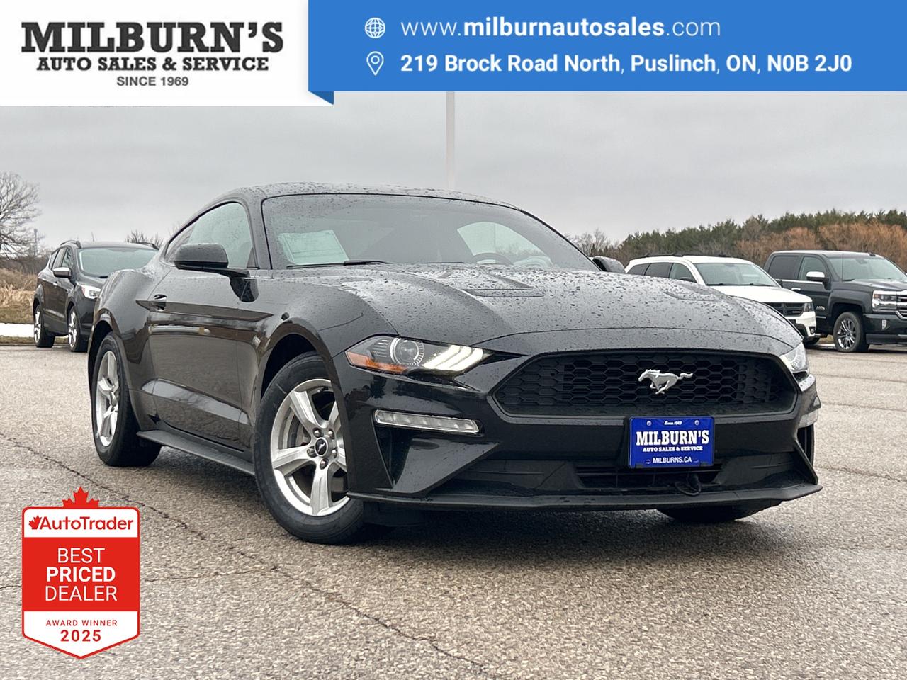 2018 Ford Mustang EcoBoost Fastback   Bluetooth   Backup Camera Photo0