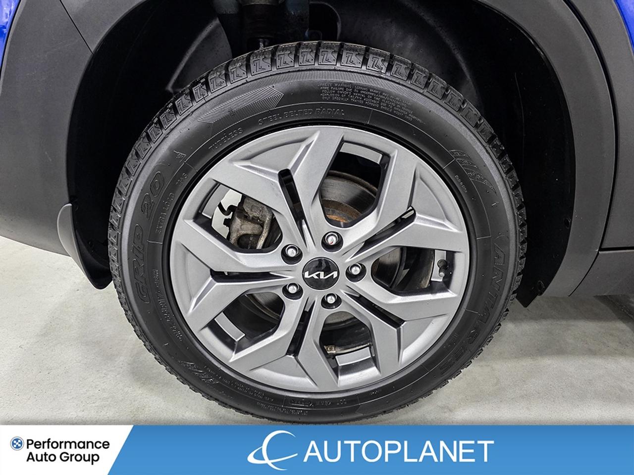 2024 Kia Seltos EX AWD - FINANCE @$82/WK OR LEASE @$98/WK Photo