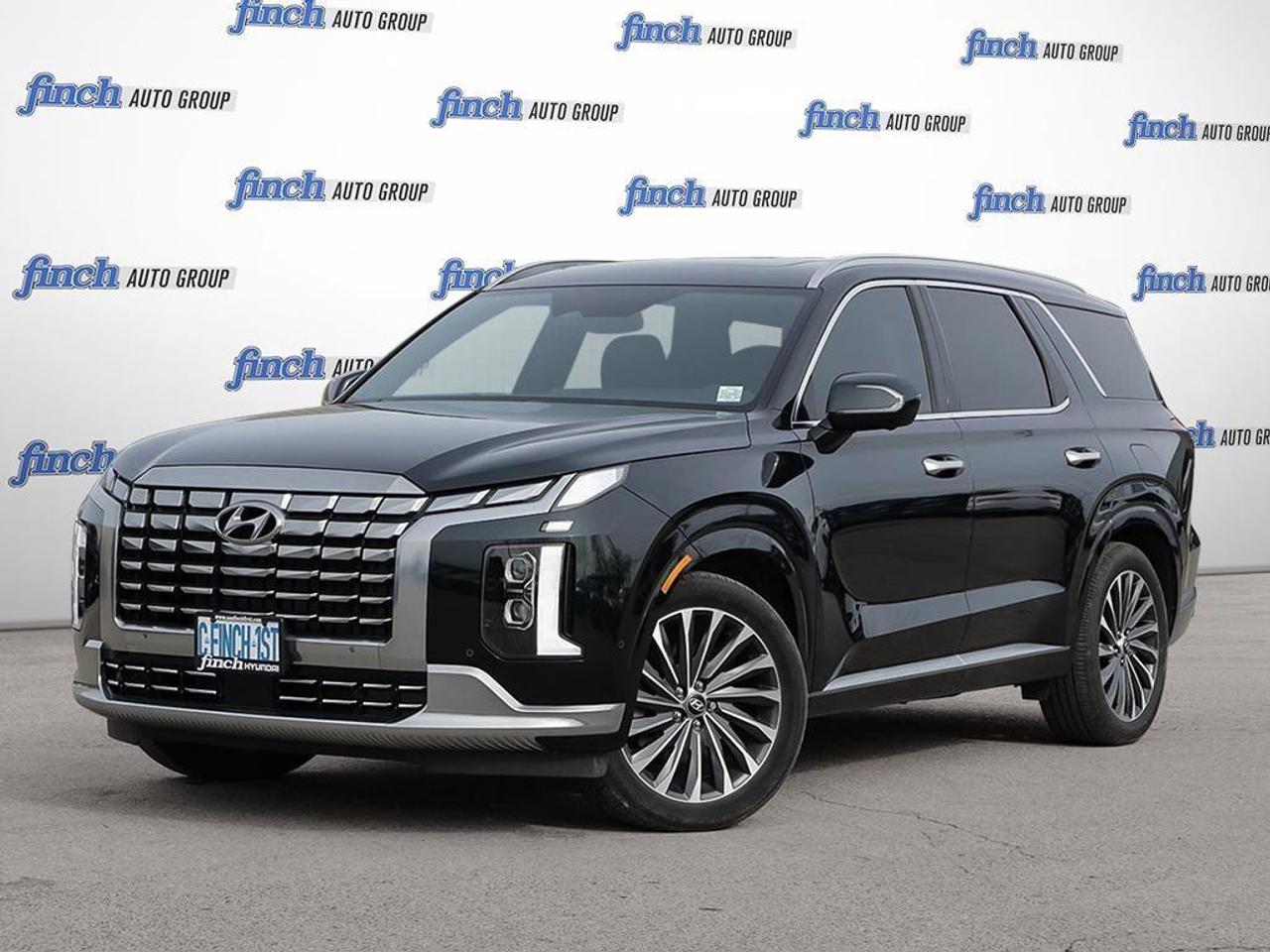 2024 Hyundai PALISADE Ultimate Calligraphy 4dr All-Wheel Drive Photo