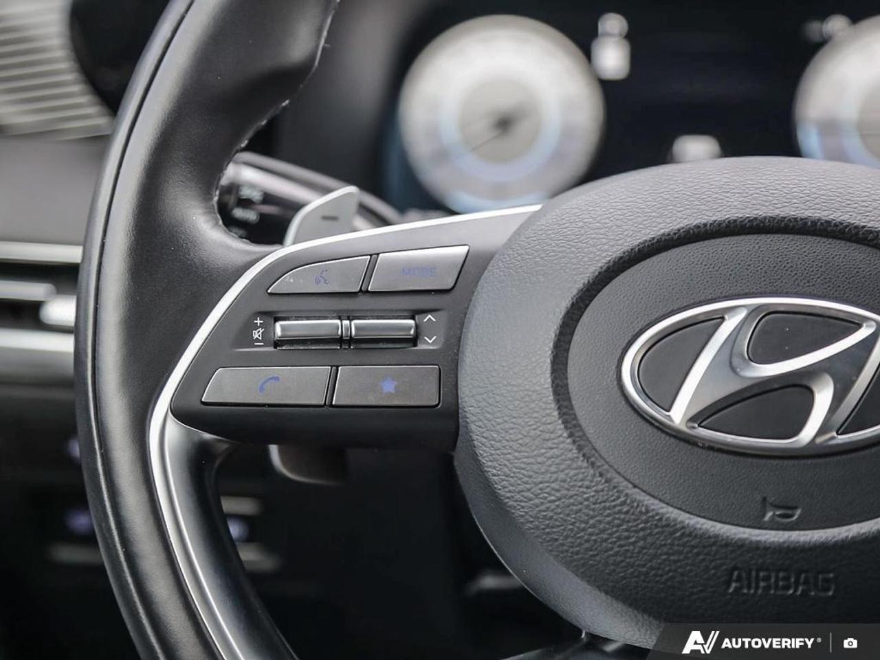 2024 Hyundai PALISADE Ultimate Calligraphy 4dr All-Wheel Drive Photo